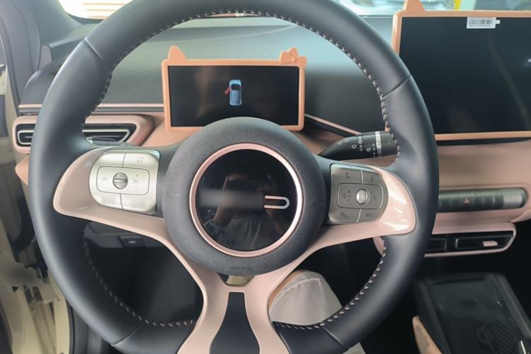 Used BYD Seagull 2023 Flying Edition Steering Wheel