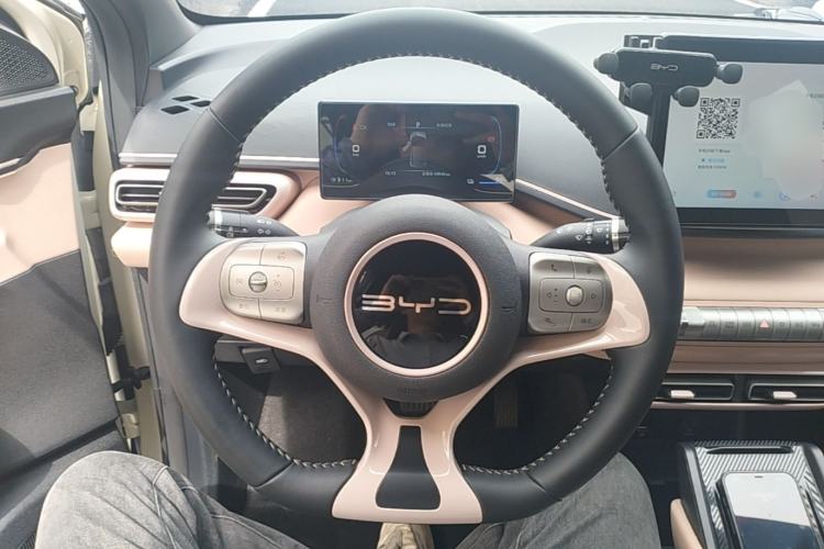 Used BYD Seagull 2023 Free Edition Steering Wheel