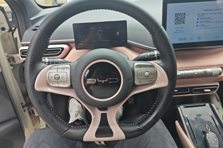 Used BYD Seagull 2023 Free Edition Steering Wheel