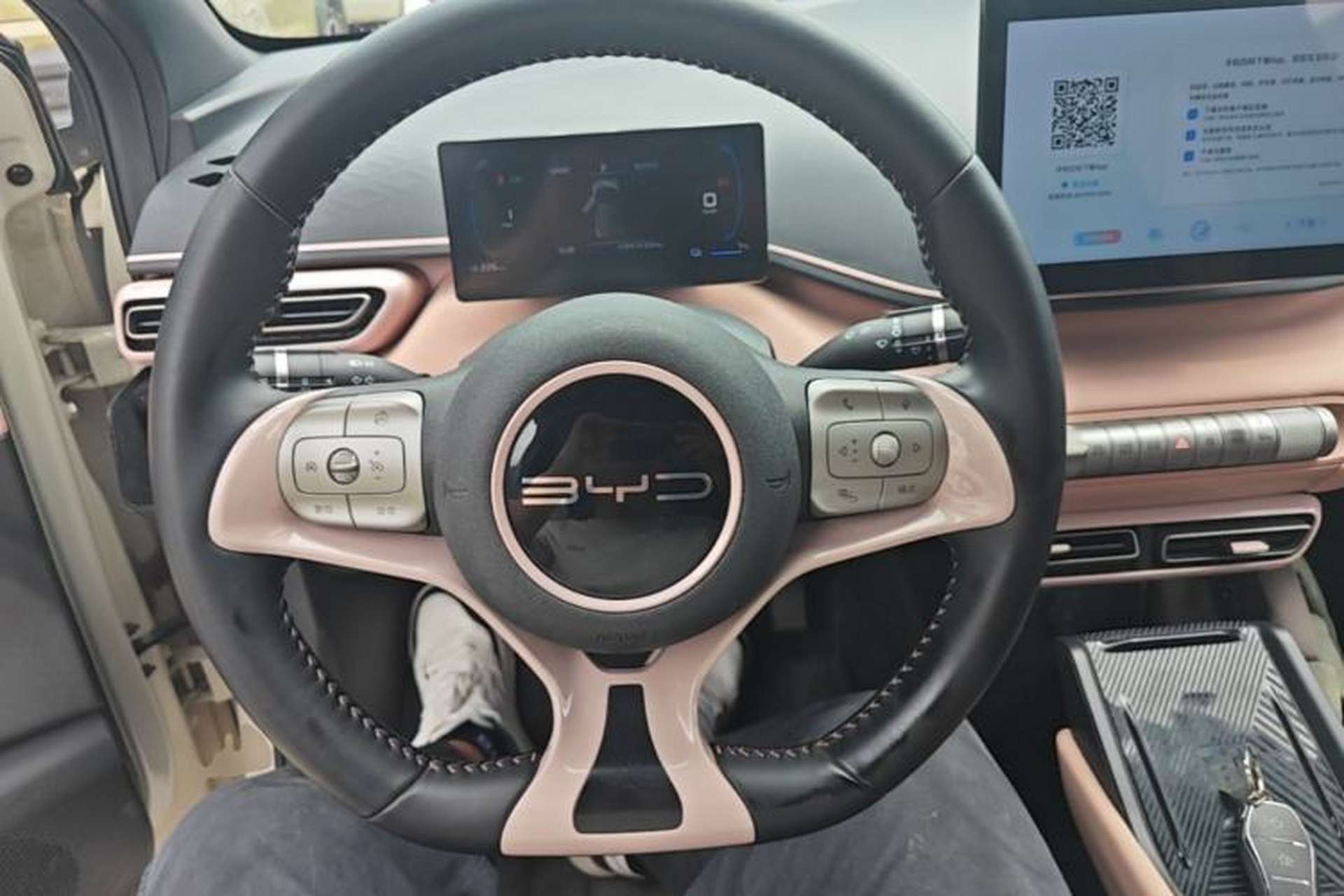 Used BYD Seagull 2023 Free Edition Steering Wheel