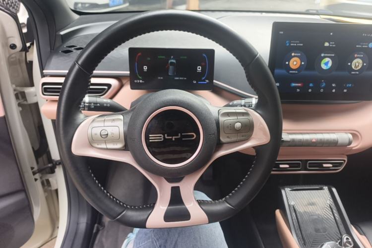 Used BYD Seagull 2023 Flying Edition Steering Wheel