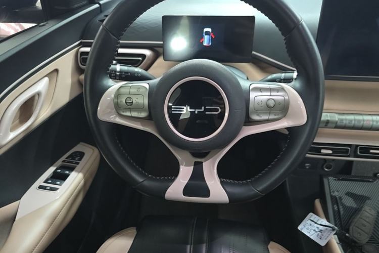 Used BYD Seagull 2023 Flying Edition Steering Wheel