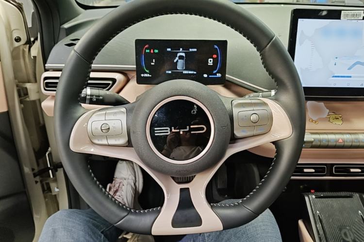 Used BYD Seagull 2023 Free Edition Steering Wheel