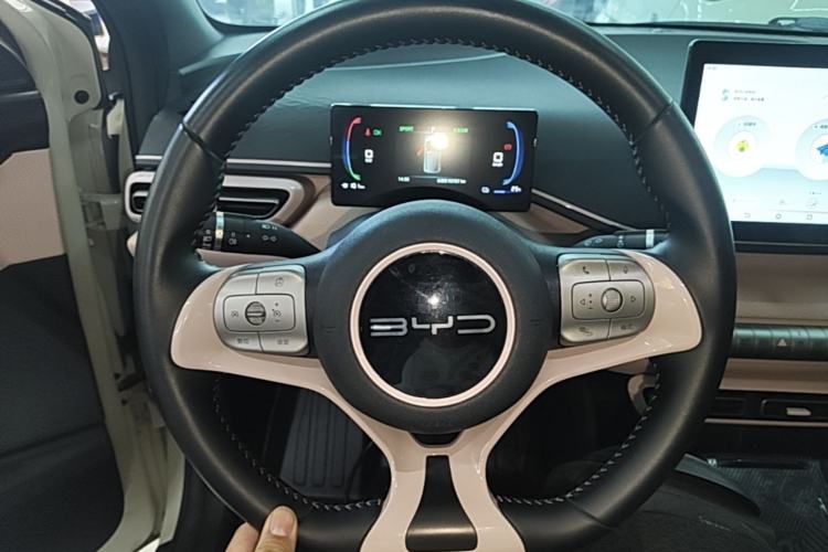 Used BYD Seagull 2023 Flying Edition Steering Wheel