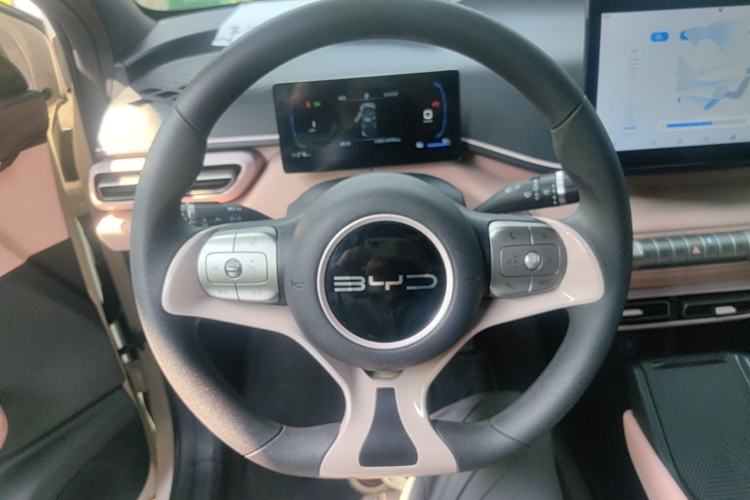 Used BYD Seagull 2023 Active Version Steering Wheel
