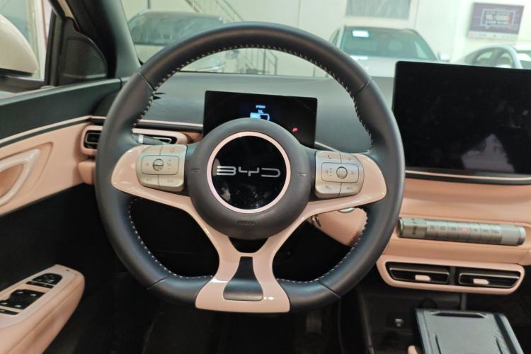 Used BYD Seagull 2023 Free Edition Steering Wheel
