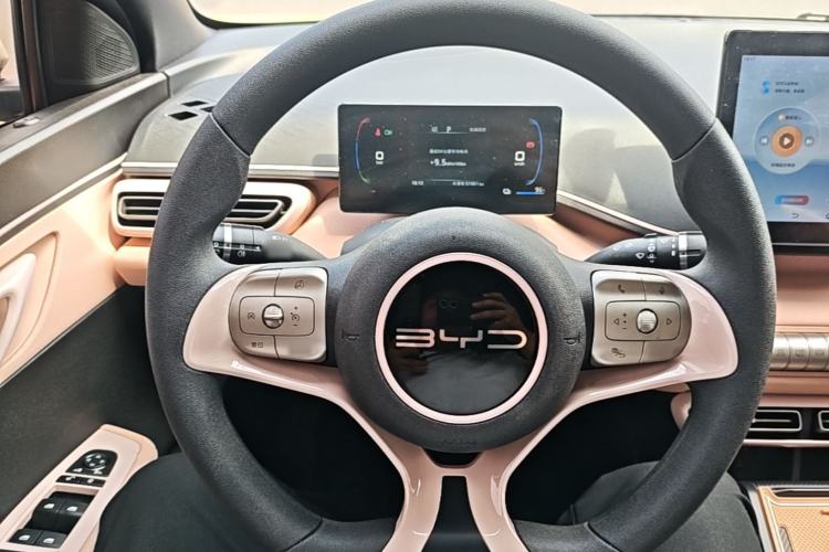 Used BYD Seagull 2023 Active Version Steering Wheel