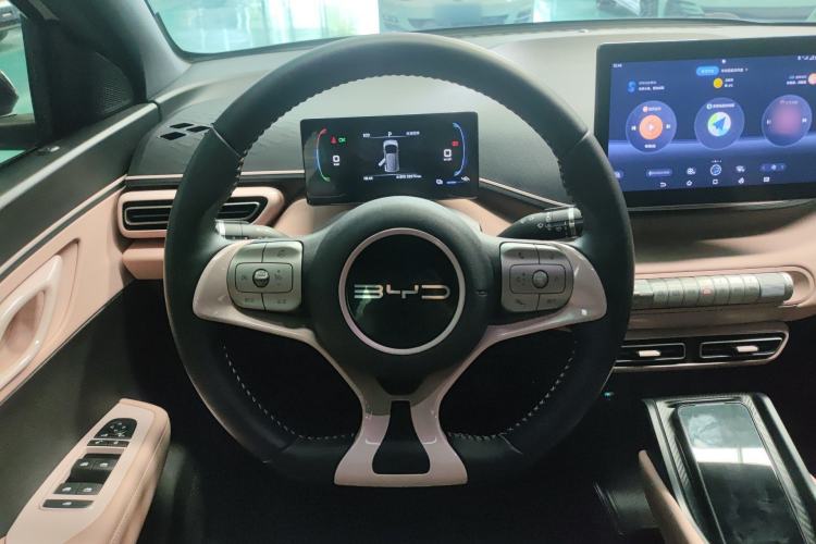 Used BYD Seagull 2023 Free Edition Steering Wheel
