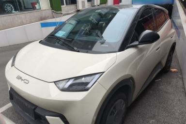 Used BYD Seagull 2023 Active Version