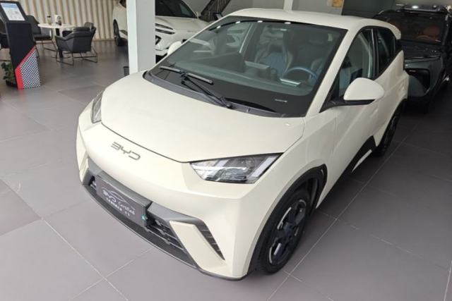 Used BYD Seagull 2023 Flying Edition