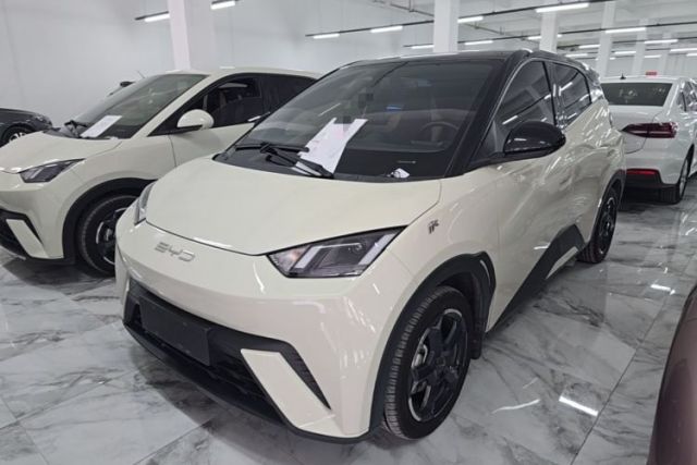Used BYD Seagull 2023 Flying Edition