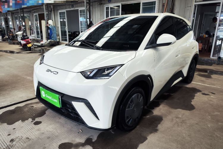 Used BYD Seagull 2023 Active Version Guazi used car, China used car export, Used car for sale, Used BYD cars, Cheapest cars for sale, Electric vehicle, New energy car