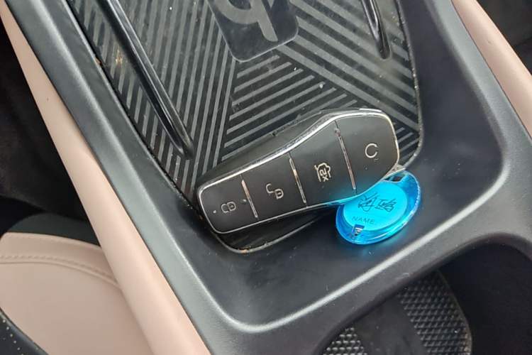 Used BYD Seagull 2023 Flying Edition Vehicle Key
