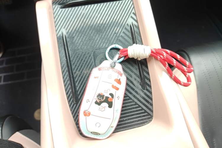 Used BYD Seagull 2023 Flying Edition Vehicle Key