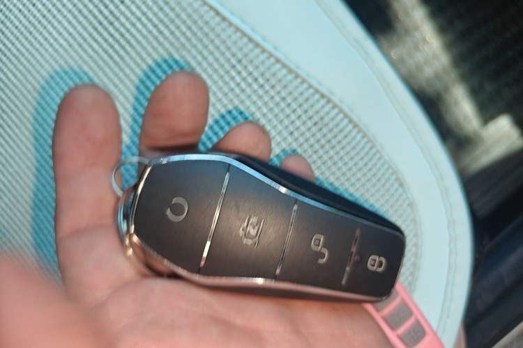 Used BYD Seagull 2023 Active Version Vehicle Key