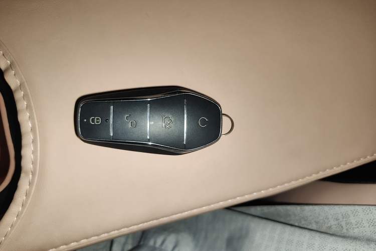 Used BYD Seagull 2023 Free Edition Vehicle Key