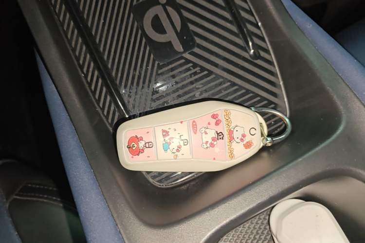 Used BYD Seagull 2023 Flying Edition Vehicle Key