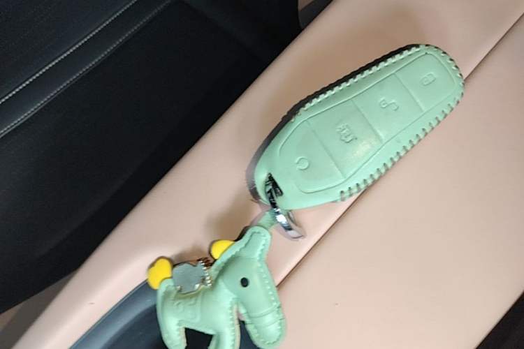 Used BYD Seagull 2023 Flying Edition Vehicle Key