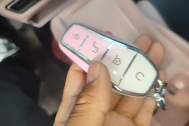Used BYD Seagull 2023 Active Version Vehicle Key