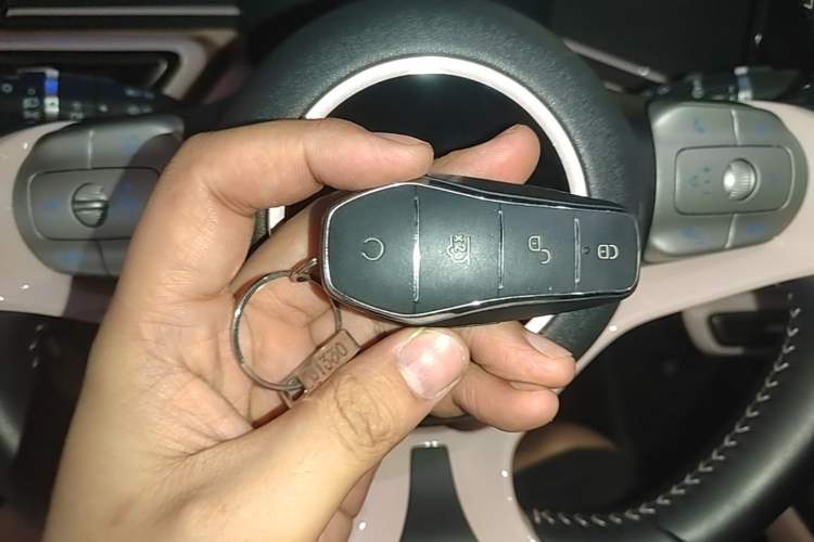 Used BYD Seagull 2023 Free Edition Vehicle Key