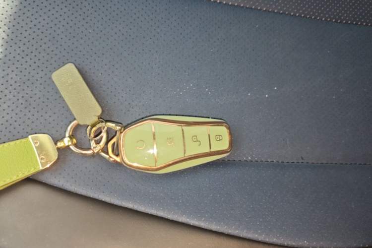 Used BYD Seagull 2023 Active Version Vehicle Key
