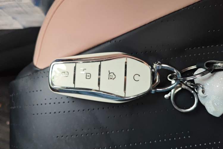 Used BYD Seagull 2023 Free Edition Vehicle Key