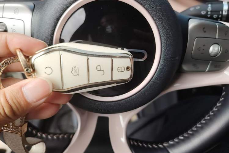 Used BYD Seagull 2023 Free Edition Vehicle Key