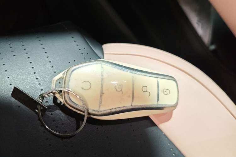 Used BYD Seagull 2023 Active Version Vehicle Key