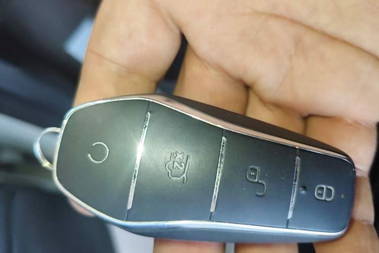 Used BYD Seagull 2023 Flying Edition Vehicle Key