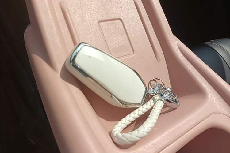 Used BYD Seagull 2023 Free Edition Vehicle Key
