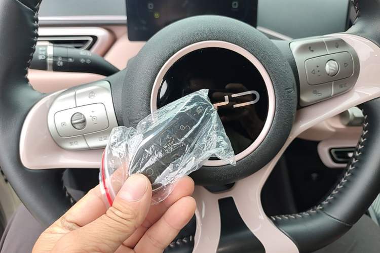 Used BYD Seagull 2023 Free Edition Vehicle Key
