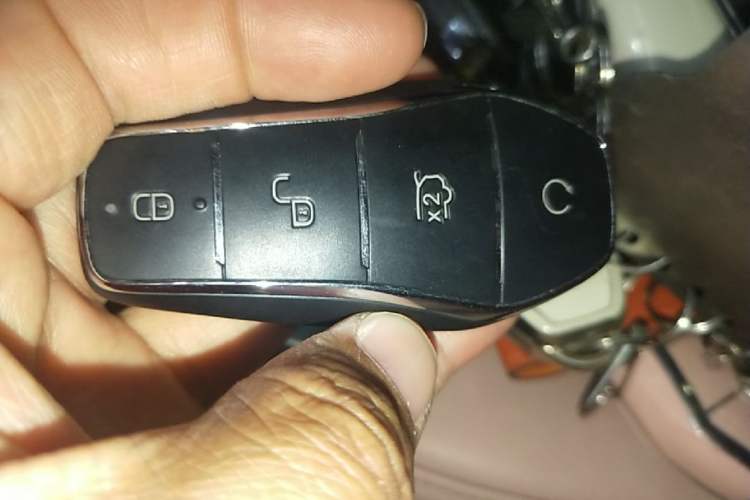 Used BYD Seagull 2023 Free Edition Vehicle Key