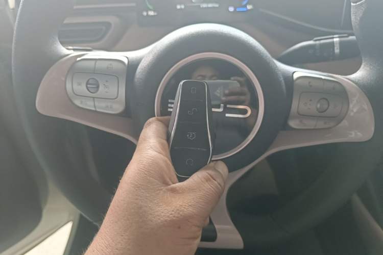 Used BYD Seagull 2023 Active Version Vehicle Key