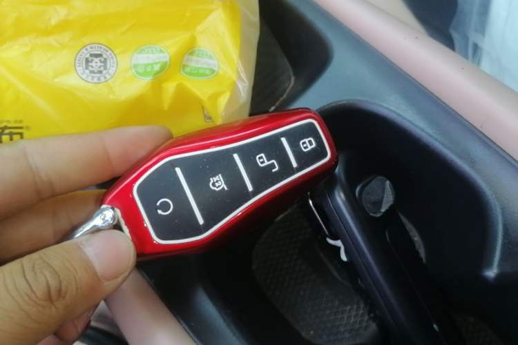 Used BYD Seagull 2023 Free Edition Vehicle Key