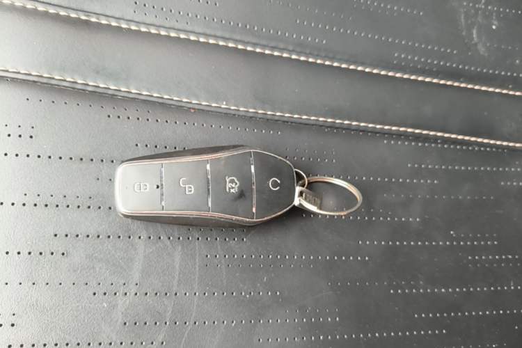 Used BYD Seagull 2023 Free Edition Vehicle Key