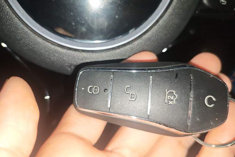 Used BYD Seagull 2023 Free Edition Vehicle Key