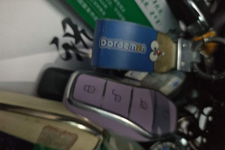 Used BYD Seagull 2023 Flying Edition Vehicle Key