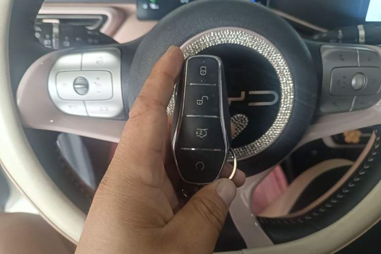 Used BYD Seagull 2023 Flying Edition Vehicle Key