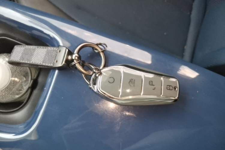 Used BYD Seagull 2023 Flying Edition Vehicle Key