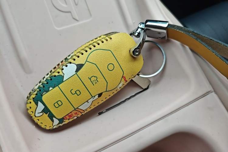 Used BYD Seagull 2023 Free Edition Vehicle Key