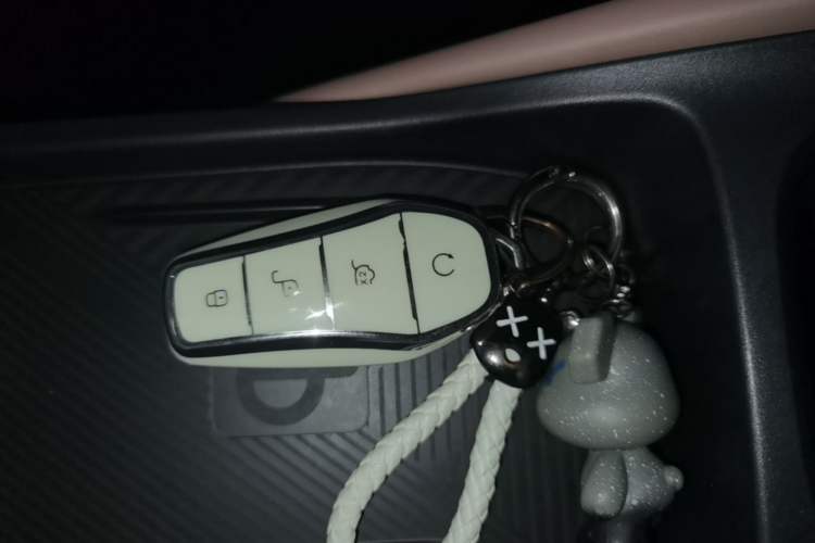 Used BYD Seagull 2023 Free Edition Vehicle Key