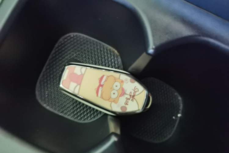 Used BYD Seagull 2023 Flying Edition Vehicle Key