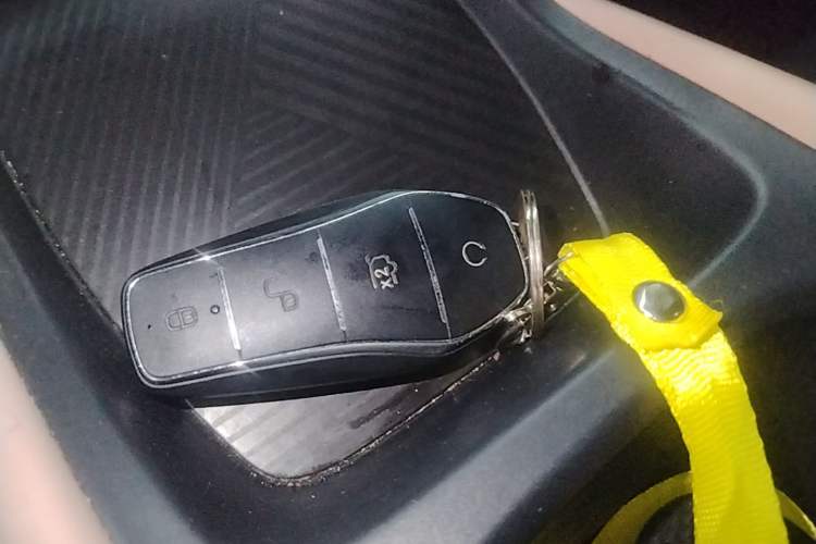 Used BYD Seagull 2023 Free Edition Vehicle Key