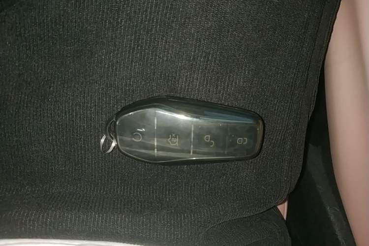Used BYD Seagull 2023 Flying Edition Vehicle Key