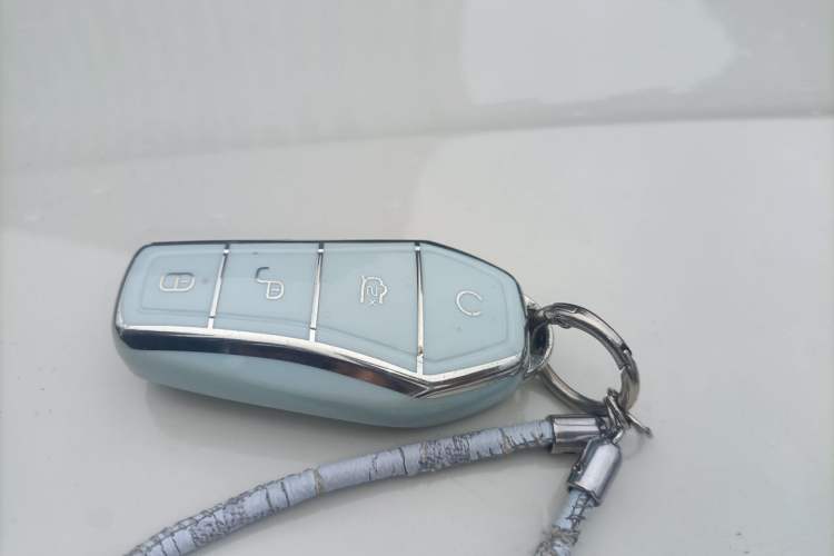 Used BYD Seagull 2023 Free Edition Vehicle Key