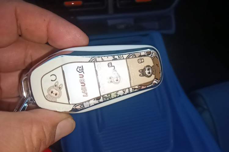 Used BYD Seagull 2023 Free Edition Vehicle Key