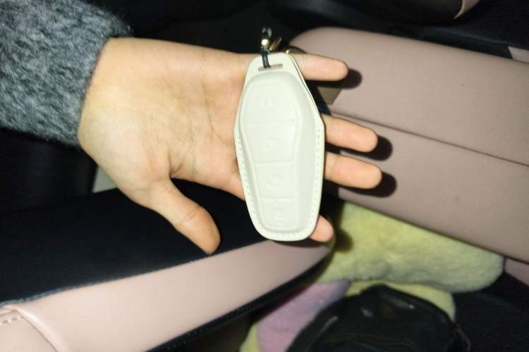 Used BYD Seagull 2023 Flying Edition Vehicle Key
