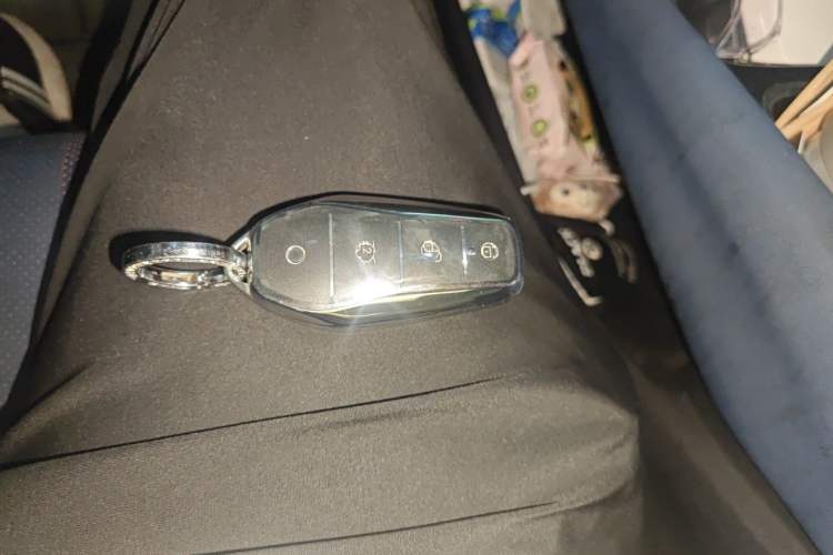 Used BYD Seagull 2023 Free Edition Vehicle Key