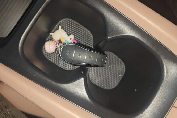 Used BYD Seagull 2023 Flying Edition Vehicle Key