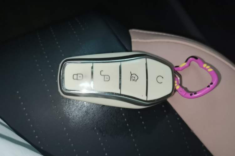 Used BYD Seagull 2023 Flying Edition Vehicle Key